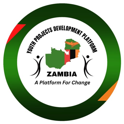 Youth Projects Development Platform